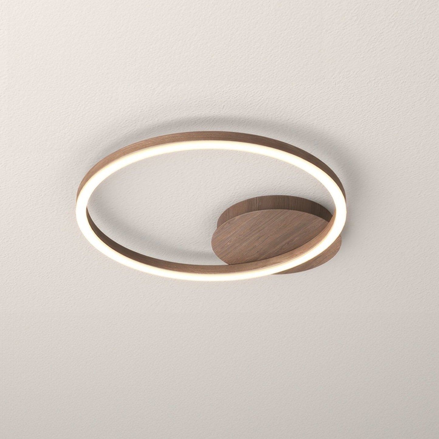 Sophisticated ring pendant light