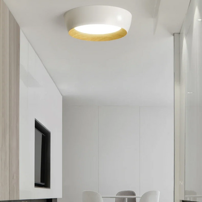 Skandinavisk taklampe