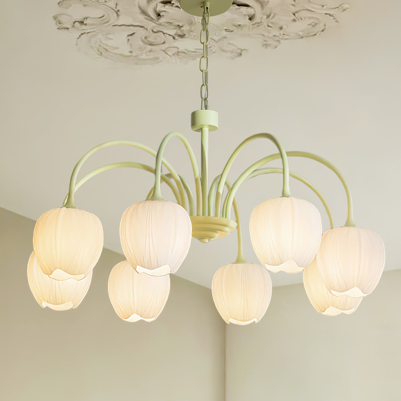 Matcha Tulip Chandelier
