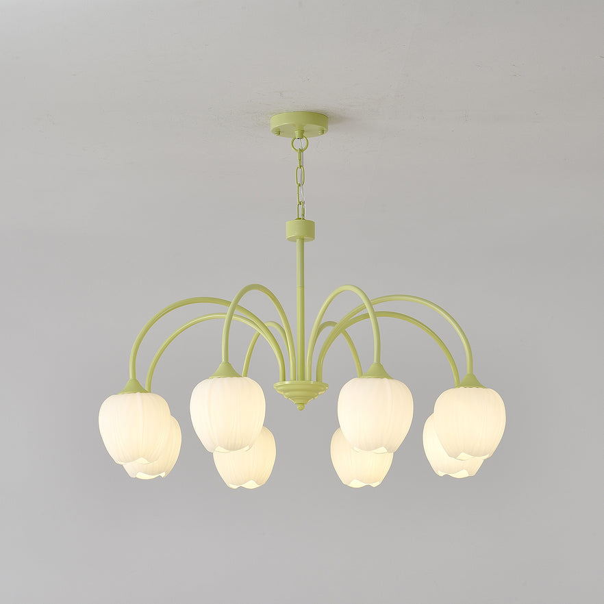 Matcha Tulip Chandelier