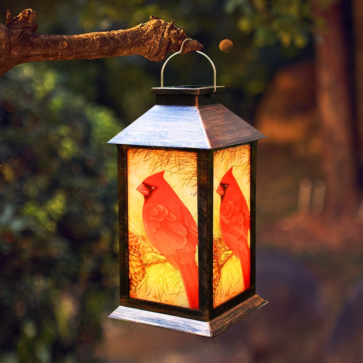 Hübsche Kardinal-Laterne
 - lichtdekor.com